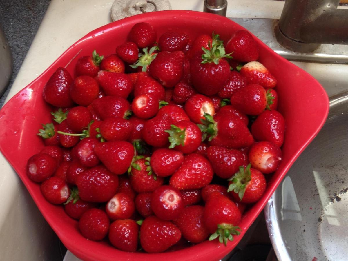 Nettles Farm Hotel Lummi Island Bagian luar foto